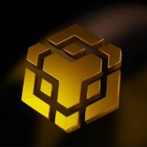 China Renaissance plans $600M BNB fund in biggest institutional crypto bet yet