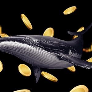 Whales dump $120 million in Solana, Aave and Aster as crypto market slides