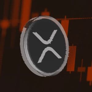 XRP slumps to $2.40, but on-chain data shows renewed whale activity
