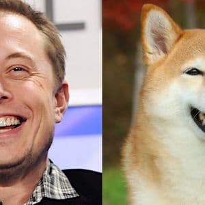 Elon Musk and Dogecoin: How the Billionaire Became the 'Dogefather'