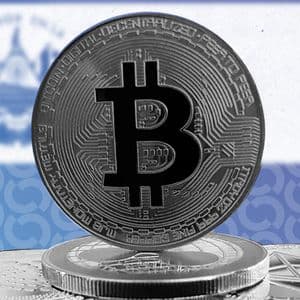 El Salvador Scoops Another 21 BTC for Nation's Bitcoin Day, Holdings Top $700M