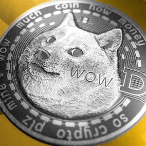 Dogecoin Treasury Firm's Stock Rises, Then Falls as Holdings Top 600 Million DOGE