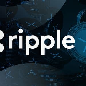 Ripple CTO David Schwartz to Step Back, Remain on Board as CTO Emeritus