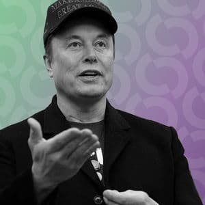 Not Just Dogecoin: Elon Musk Pumps Floki Meme Coin Price With AI Shiba Inu Video