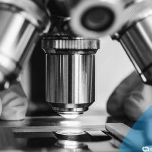 Man Clones Best Friend: Tom Brady’s New Pup Is a Copy of the Original