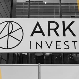 Cathie Wood's Ark Invest Buys BitMine Ethereum Treasury Shares After Cutting Bitcoin Price Target