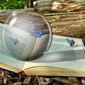 Bitcoin Chalks Out Lower Price High After Powell, Ether Prints Doji at Lifetime Peak