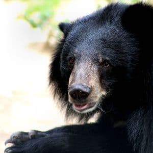 Crypto Markets Today: Bitcoin Price Remains Under Pressure