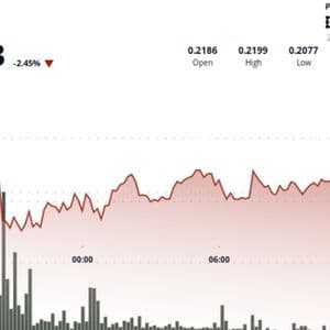 Dogecoin Jumps to 21-Cents Despite $200M Whale Transfer to Binance