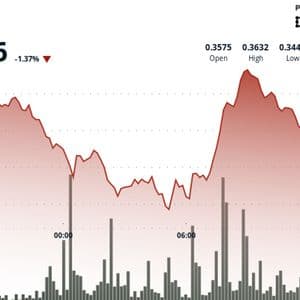 XLM Plunges 5% in Wild Trading Session Before Staging Sharp Recovery