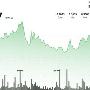 Stellar Upgrade Triggers Trading Pauses on Major Exchanges, XLM Faces Resistance