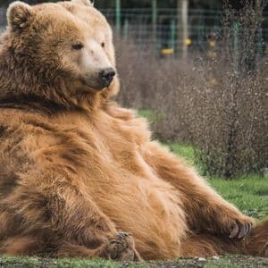 Bitcoin Options Tilt Bearish Ahead of Friday's Expiry: Crypto Daybook Americas