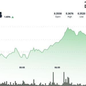 XLM Surges 5% Before Dramatic Final-Hour Collapse