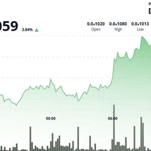 PEPE Rallies 10% in a Week, Outpaces Bitcoin and Other Major Tokens
