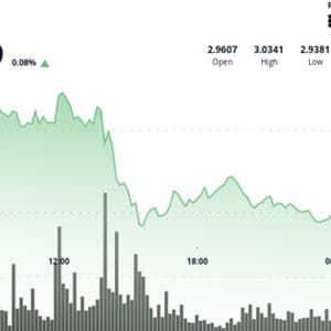 What Next as XRP Slumps After Failed Breakout Above $3
