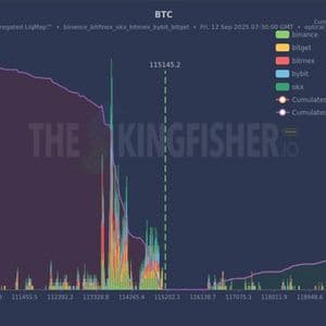 Traders Load Up on Nine-Figure Bullish Bitcoin Bets, Raising Liquidation Risks