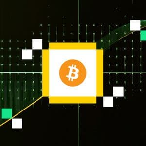 Corporate Bitcoin Buying Slows in August as Treasuries Add $5B