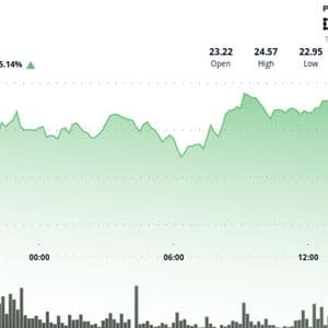 Chainlink's LINK Surges 6% on Treasury Purchase, ETF Anticipation