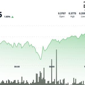 XLM Consolidates After Sharp Decline, Testing Key Support Levels