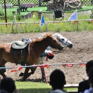 Analysis: DATs Keep Buying Bitcoin, Outperforming ETFs Is the Hard Part