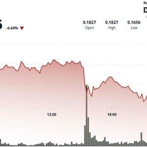 Dogecoin Plunges 8% as Price Action Points to Brief Technical Bounces