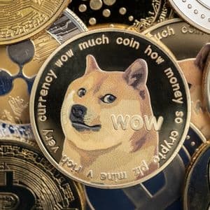 CleanCore accumulates 500M dogecoin as part of treasury strategy