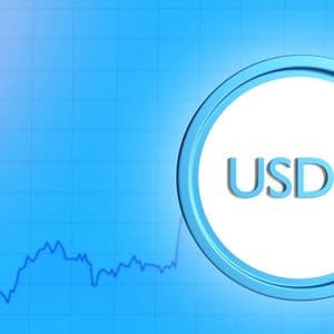 Circle Internet Group: Weighing Sequential Growth