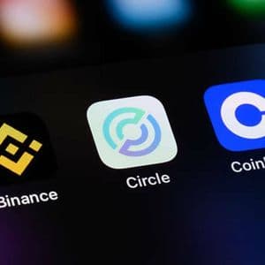 Circle: Enormous Risk Undermines Long-Term Potential