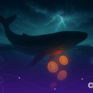 Bitcoin Whale Sells 24,000 BTC Triggering Flash Crash, Still Holds Over $17B Worth BTC