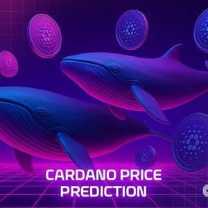 Cardano Price Prediction: Whales Take ADA Off Exchanges – A 500% Supply Squeeze Rally is Starting