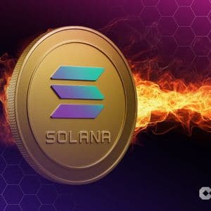 Solana Whale DeFi Development Unleashes Massive $100M Stock Buyback – More SOL Buys?