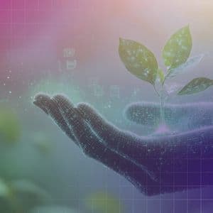 Meanwhile Raises $82M to Scale Bitcoin-Based Life Insurance and Retirement Products