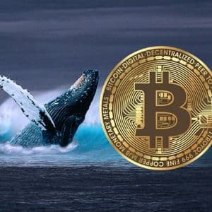 Bitcoin Whale Makes $3B Ethereum Pivot in Bold Market Move