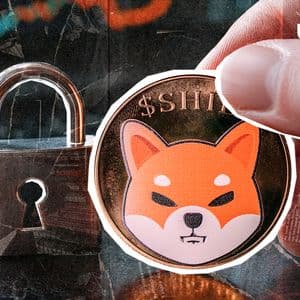 Shiba Inu Team Issues Security Alert as Devs Plot Major Upgrade