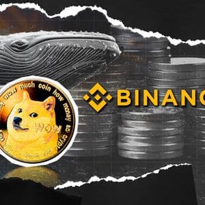 32,900,000 DOGE Exits Binance as New Dogecoin Whale Is Born: Details