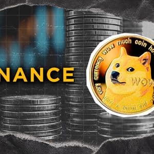 500,000,000 DOGE Stun Binance as Dogecoin Whale Turns Meme Coin Bear