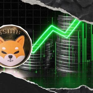 +20,000,000,000 Shiba Inu (SHIB) in 24 Hours: Massive Exchange Spike