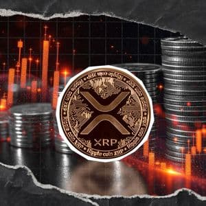Where Will XRP Fall? New Price Prediction Gives Possible Scenario
