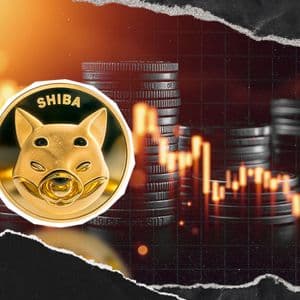 SHIB Price Crashes But Team Doesn't Give Up, Major Statement Says