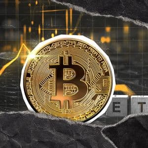 'Bitcoin Is King': Major Cryptocurrency Shuts Altseason Hype with $440 Million