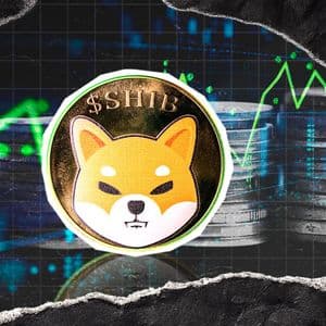 +211% SHIB Growth Imbalance Strikes As Millions of SHIB Gets Moved