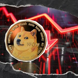 32,924,528 DOGE in Longs Liquidated Following Crypto Market Selloff