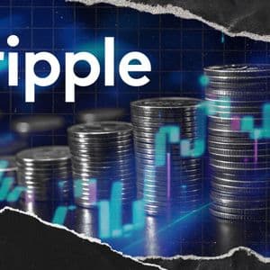 Ripple Issues 5 Year Tokenization Prediction: Details