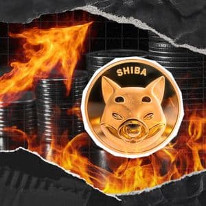 Shiba Inu Breaks Burn Rate Limit With 201,207% Surge, Will Price Follow?