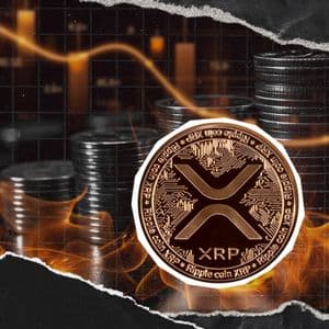 XRP Burns at Zero? Here's Why No One Burns It