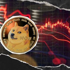 Dogecoin Crucial Signal Emerges on Key Indicator Amid Market Drop