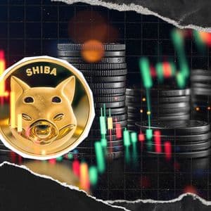 +93% SHIB Imbalance Strikes As 22,652,982 SHIB Get Locked