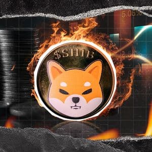 20,311,173 SHIB Burn Shakes Up Network With Massive Key Index Surge