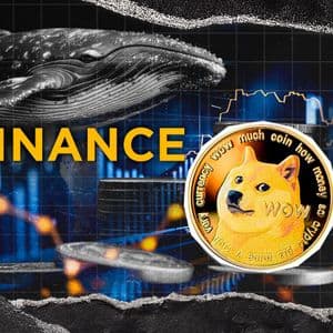 10,366,683 DOGE Out of Binance as Dogecoin Whale Turns Meme Coin Bull