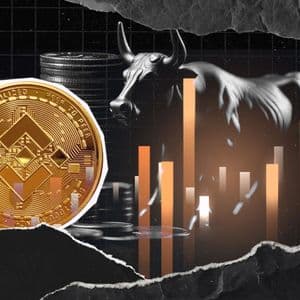 Is Binance Coin (BNB) Price Performing a Bullish Fakeout?